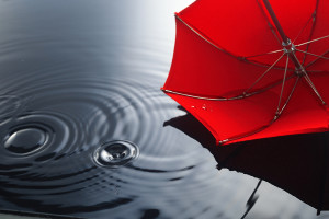 Umbrella on the rain. Umbrella inpuddle. Autumn background concept